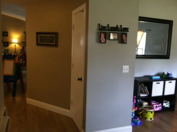 29341 Downy Pl, Wesley Chapel, FL 33545