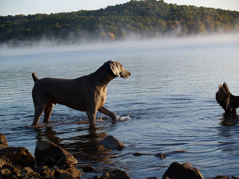 Saturday morning walks 