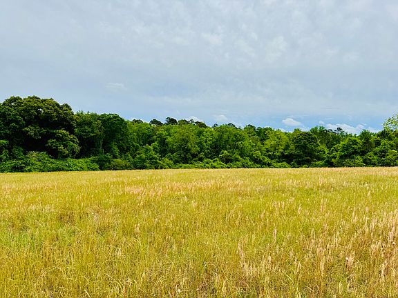 5th image of 19 Acres Hwy #55