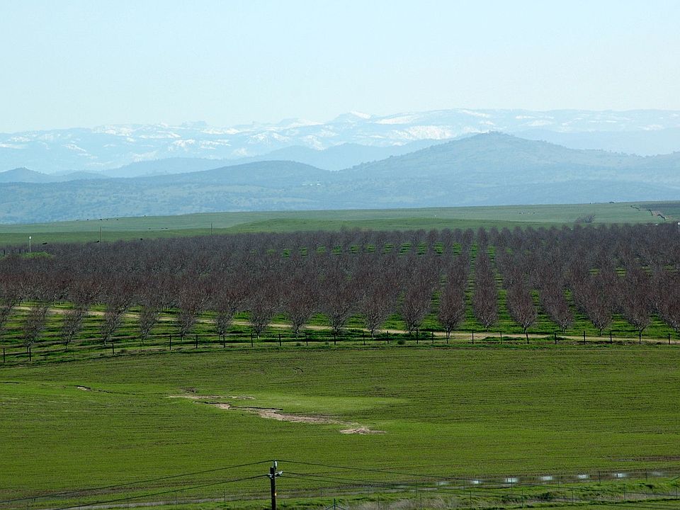 Eastern view to Sierra Nevada and the Mother Lode