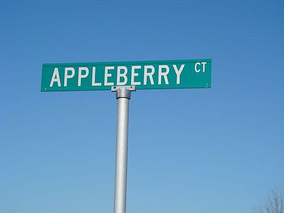 5th image of 21 Appleberry Ct