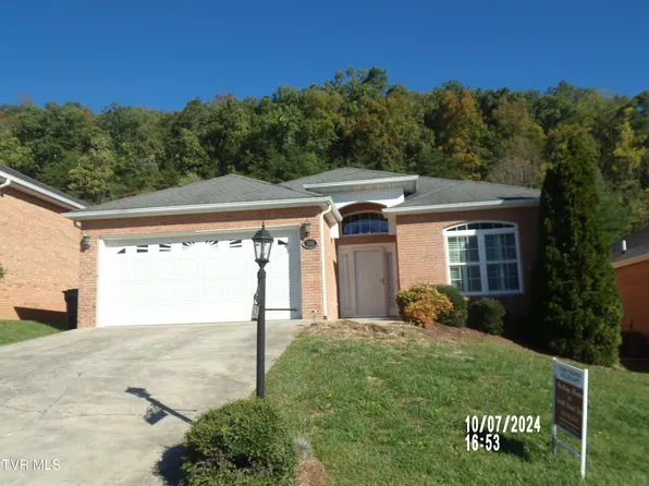 180 Apple Lake Dr, Bluff City, TN 37618