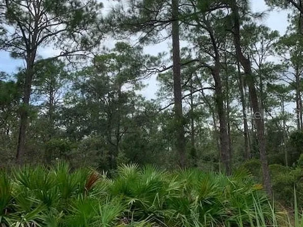 42755 State Road 64 Rd E, Myakka City, FL 34251