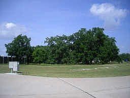 3rd image of 719 Orchard Ln