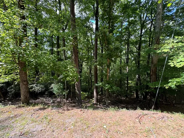 LOT M42 Sleepy Hollow Rd, Ellijay, GA 30536
