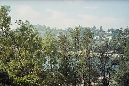 5th image of 2487 Lindsay Ln