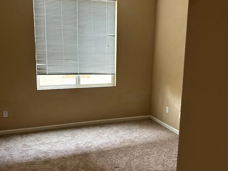 3902 Hidden Grove Ln — Photo 21