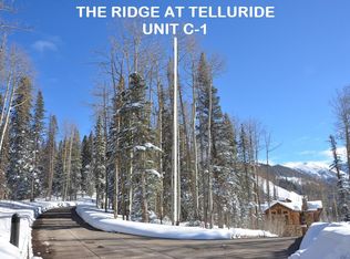 1 Tunnel Ln #C, Telluride, CO 81435