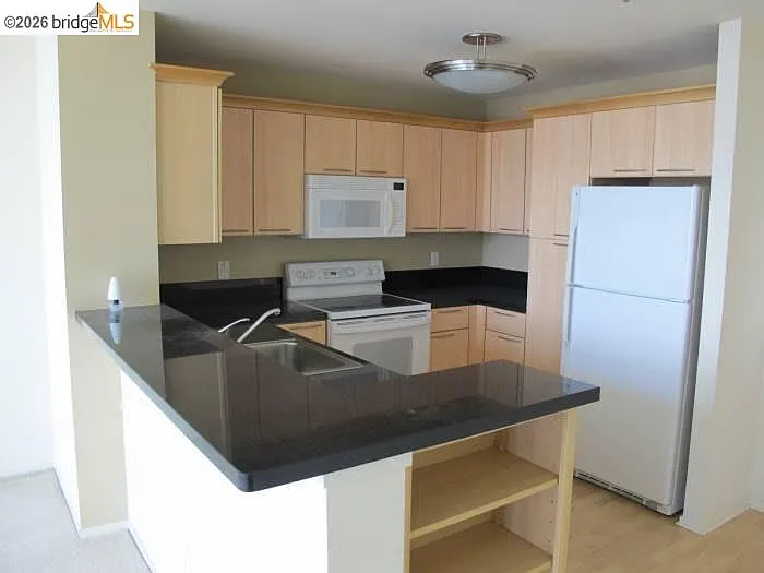 1 Lakeside Dr #1509 — Photo 3