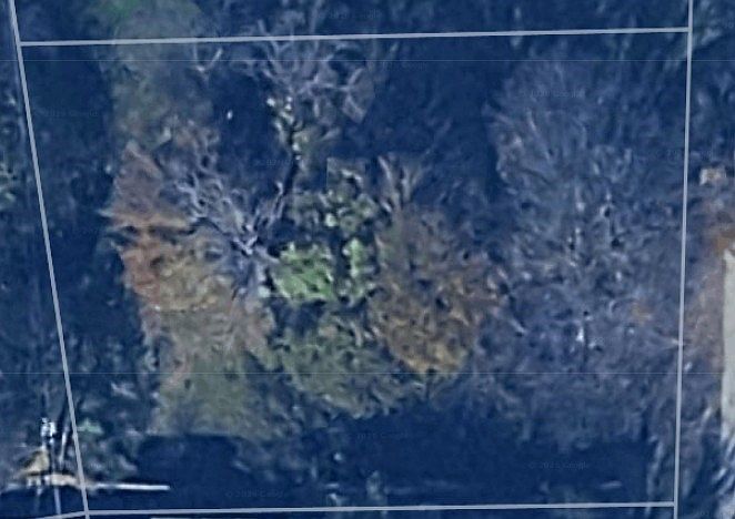 1st image of 249 Wildwind Dr