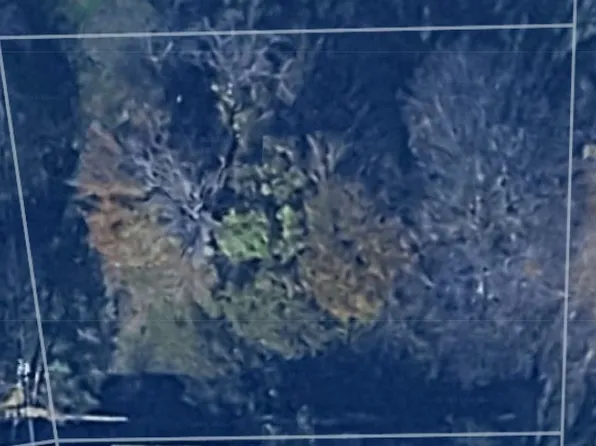 249 Wildwind Dr, Mabank, TX 75156