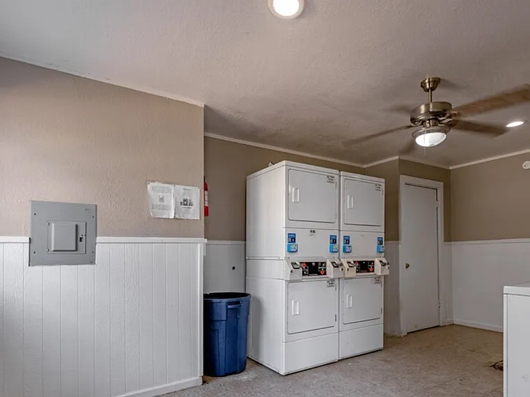 Pecan Tree 12