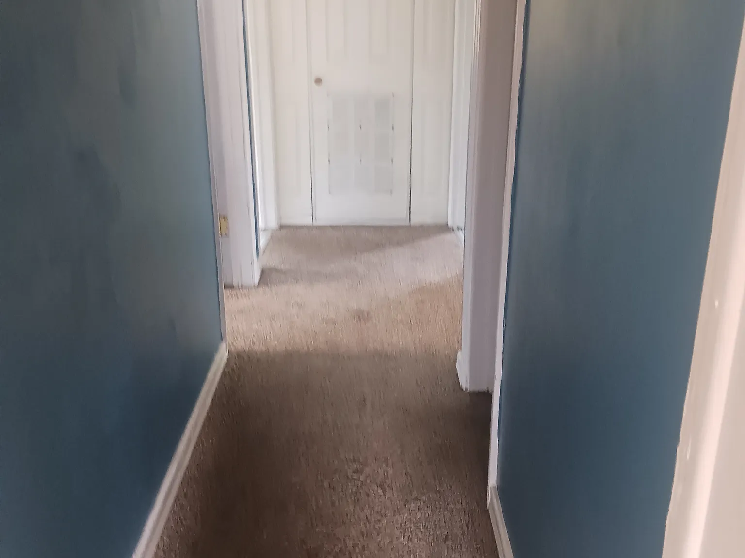 3 bed, 1100 sqft, $1,500 — Photo 4