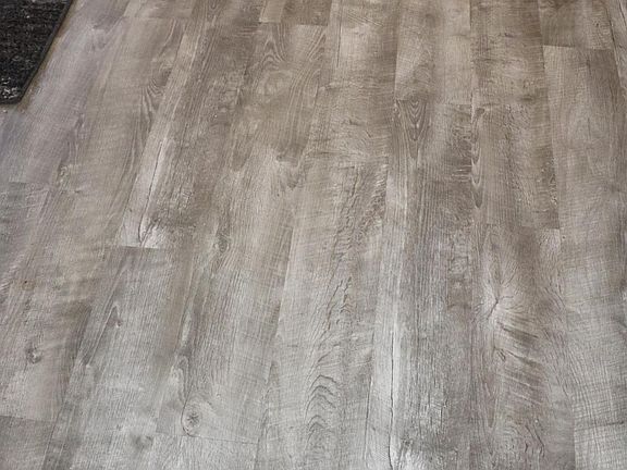 Vinyl wood plank flooring throughout main living area and guest bathroom