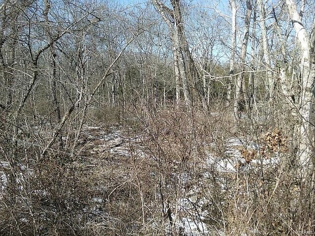 1st image of 9525-OLD State Road B Dr #21