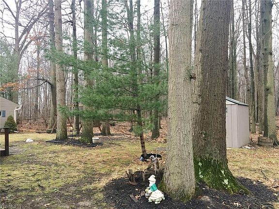4th image of 661 Morris Dr