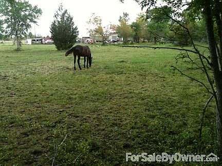 4th image of 3517 Sandy Creek Dr
