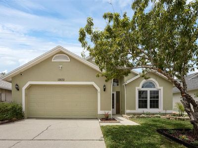 12832 Downstream Cir, Orlando, FL, 32828