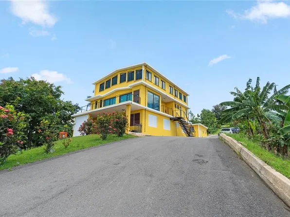 Bo Hoyos Planes Carr 531 Km #Home 7, Jayuya, PR 00664