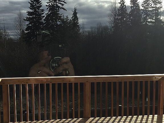 Back upper deck tree view. 