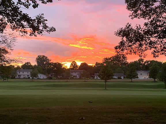 Backyard Views at Night