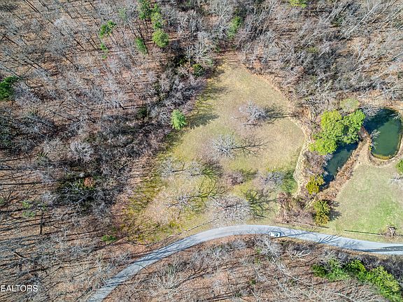 2nd image of Collier Loop