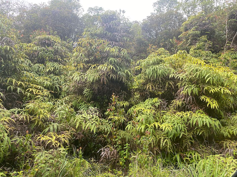 1st image of Kauai St Lot 14