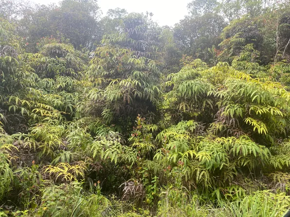 Kauai St Lot 14, Mountain View, HI 96771