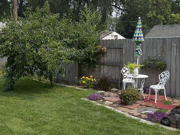 Back yard