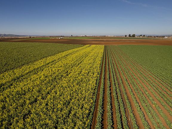 5th image of (Undisclosed Address)