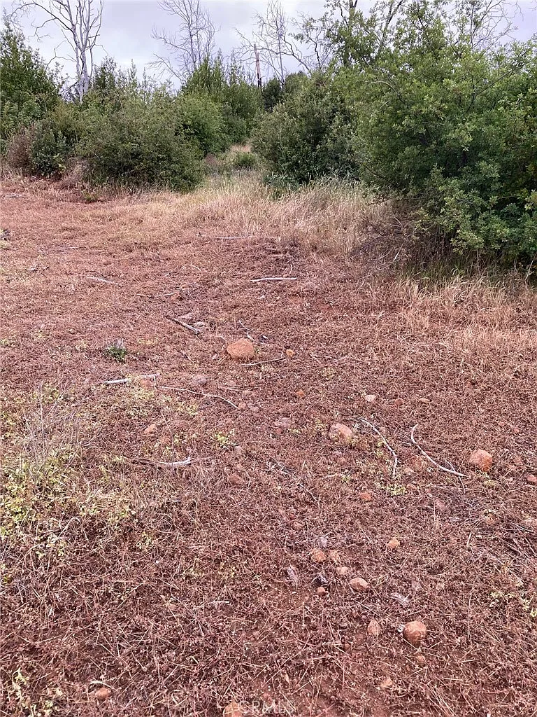 1 Wayland Rd photo 1