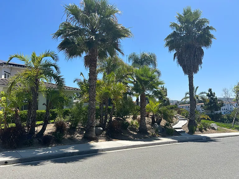 1774 Dove Ln — Photo 19