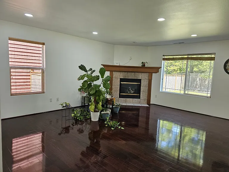 House plants will be removed.