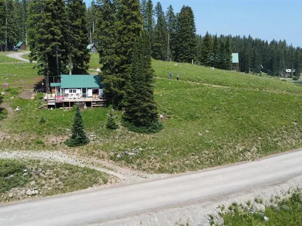 21731 Baron Lake Drive, Cedaredge, CO 81413