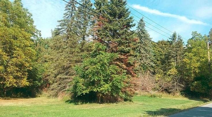 2nd image of 4556 Sylvan Rd
