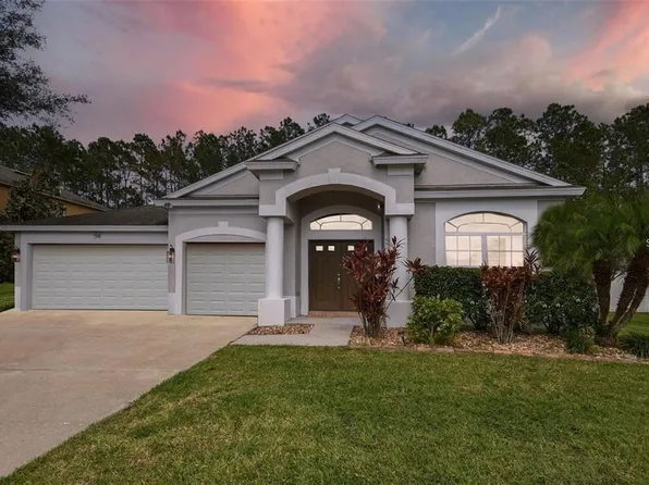 7346 Crescent Palm Dr, Wesley Chapel, FL 33545