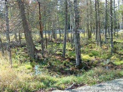 8 Island Woods Rd, Bar Harbor, ME, 04609