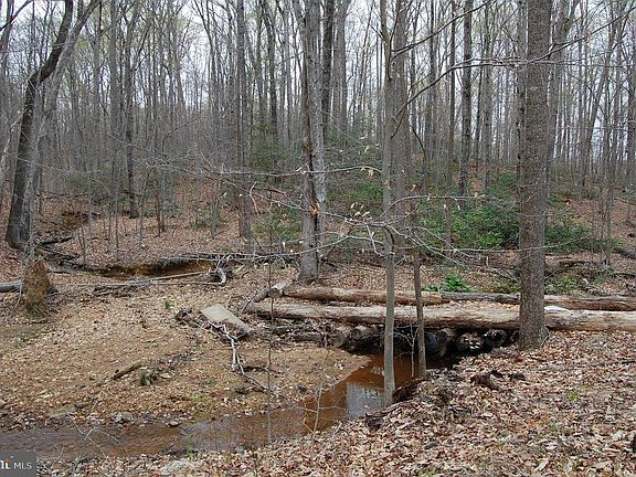 A Creek runs through it
