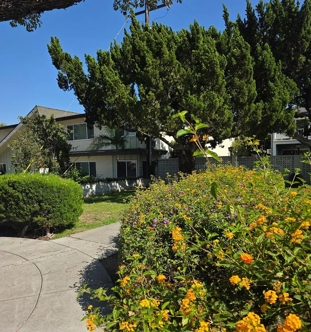 2 bed, 1200 sqft, $2,550 — Photo 4