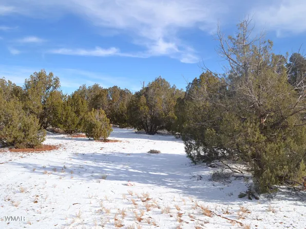 4401 Clydesdale Rd, Snowflake, AZ 85937