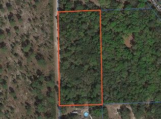 125 Crowe Ln, Pomona Park, FL 32181