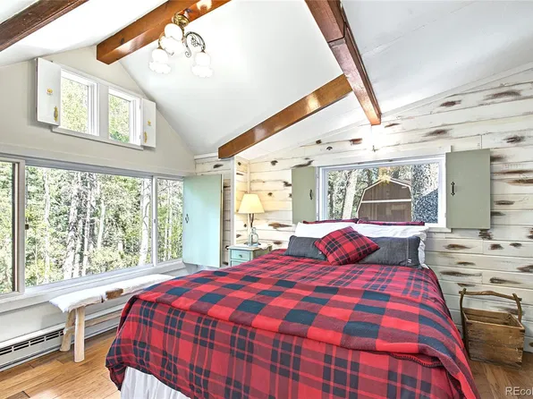 7739 County Road 43, Bailey, CO 80421