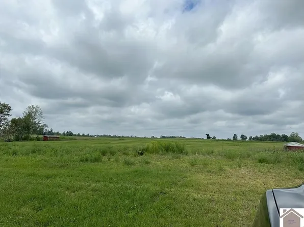501 Twin Hills Rd Tract 2, Mayfield, KY 42066