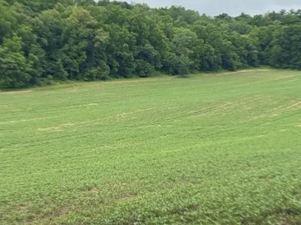 Back Valley Rd, Pepin, WI 54759