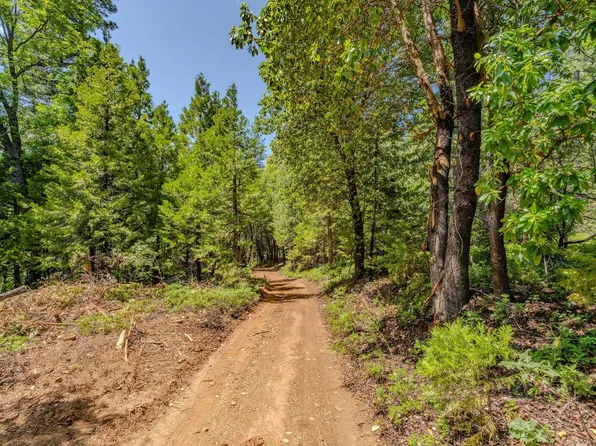 (undisclosed Address), Pioneer, CA 95666