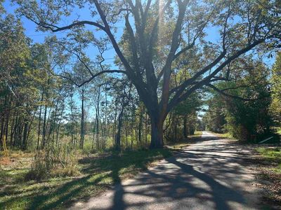 0 County Road 8, Double Springs, AL, 35553
