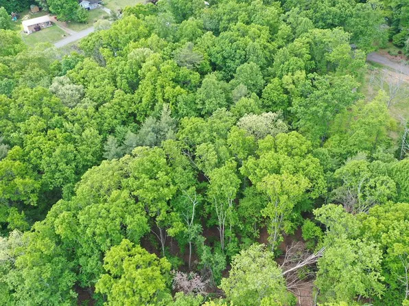 Amelia Ln, Hillsville, VA 24343