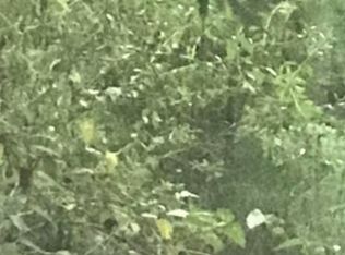 Jupiter Cir #193, Alpine, AL 35014