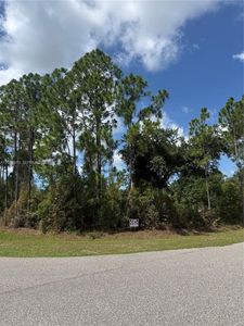 12193 Mayfair Ave, Port Charlotte, FL, 33981