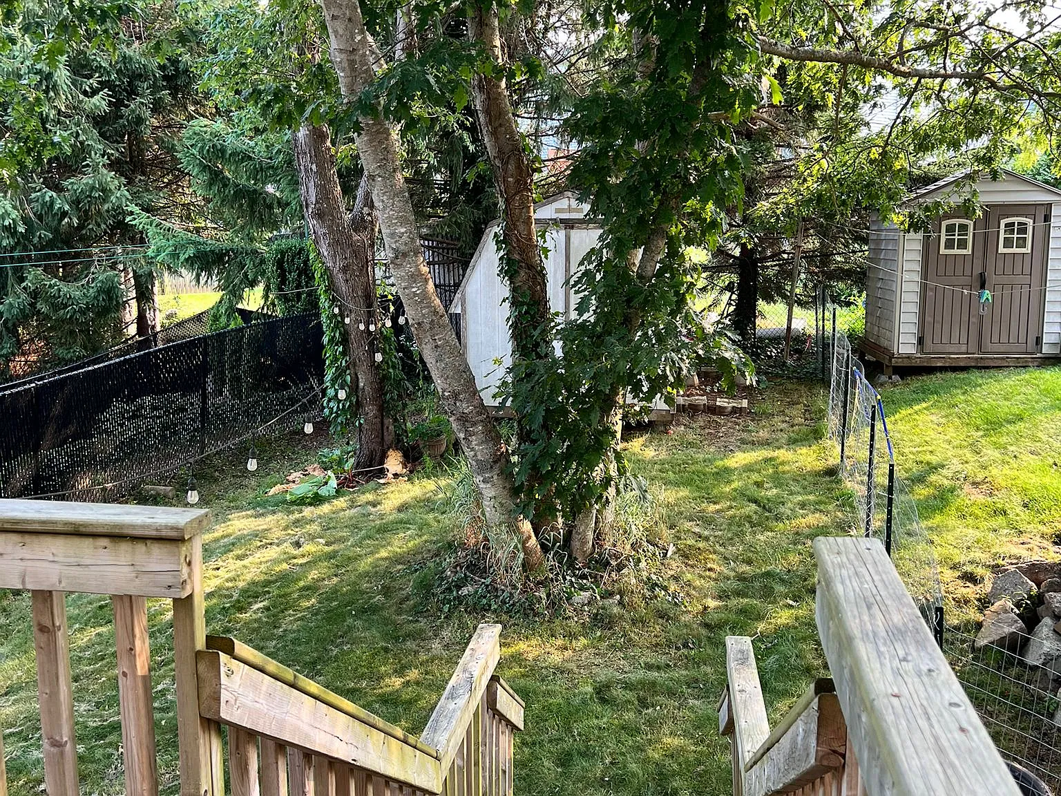 3 bed, 1.5 bath, 1200 sqft, $3,300 — Photo 2